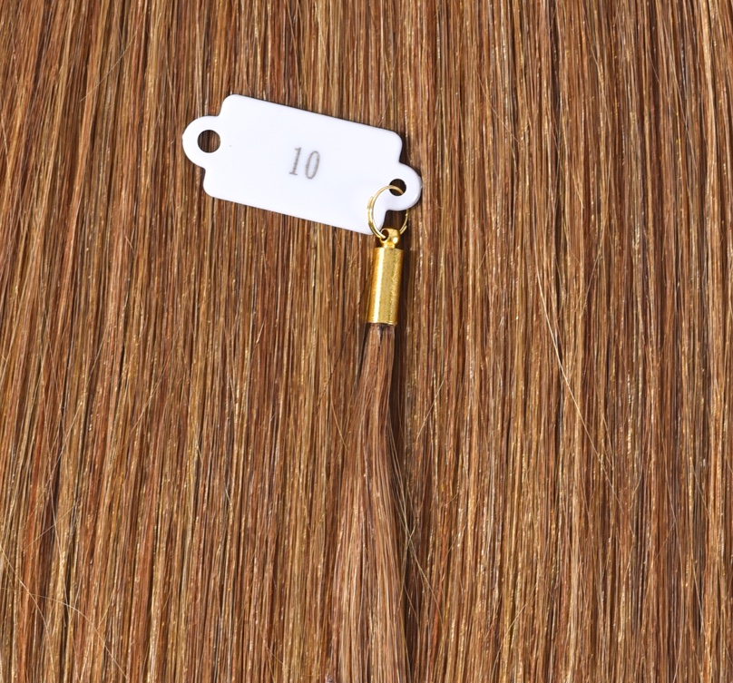 DS HAIR physical colour swatch number 10 with identification tag